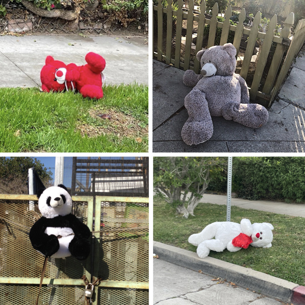 Pic Teddy Bears N003
